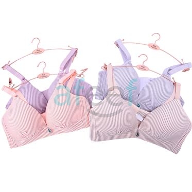 Picture of Raj Fashion Soft Padded Bra (2003)