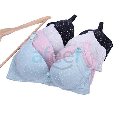 Picture of Raj Fashion Design Soft Padded Bra (T907)