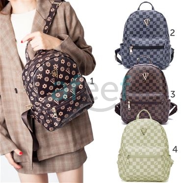 Picture of Fashionable Women Backpack (VT1)