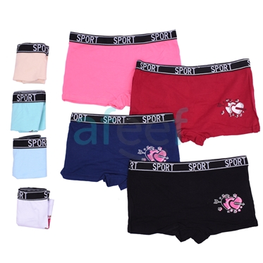 Picture of Fashionable Panty Boxer Assorted Colors (7516)