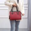 Picture of Trendy Ladies Hand Bag (21443)