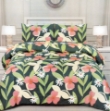 Picture of Double Fitted Printed BedSheet With 2 Pillow Cover (DBL31)