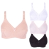 Picture of Bra Regular Non-Padded Non-Wired (506)