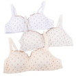 Picture of Raj Fashion Soft Padded Bra Non-Wired (6603)