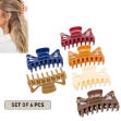 Picture of Classic Claw Clamp Clip For Women Set of 6 Pcs (HA37) 