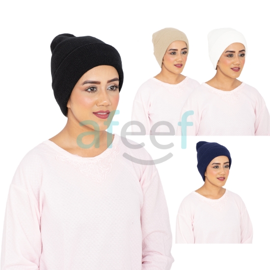 Picture of Winter Skull Cap Unisex Assorted Colors (WC03)