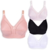 Picture of  Raj Bra C-Cup Regular Non-Padded Non-Wired (219) 