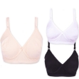 Picture of Raj Fashion Bra Regular Non-Padded Non-Wired (IND502)
