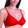 Picture of Raj Fashion Bra Regular Non-Padded Non-Wired (IND506)