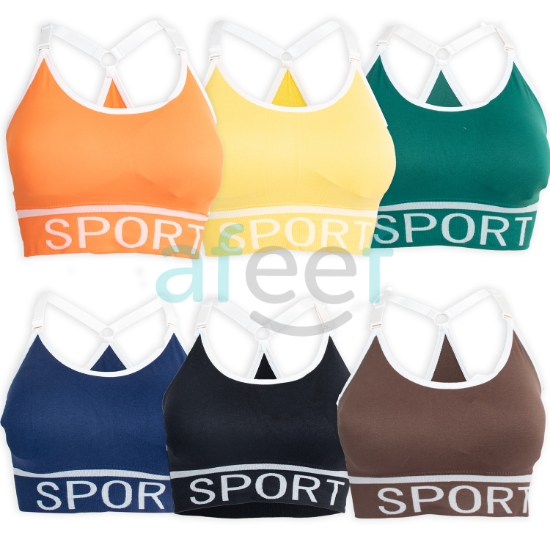 Picture of Raj Fashion Stylish Sports Bra Assorted Colors (4357)