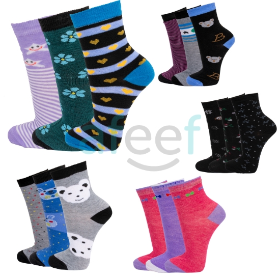 Picture of Women Socks Set of 3 pair Assorted Design (AS44)  