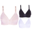 Picture of  Raj Bra Regular Non-Padded Non-Wired (186) 