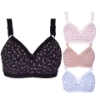Picture of Bra Regular Soft Padded Non-Wired (239)