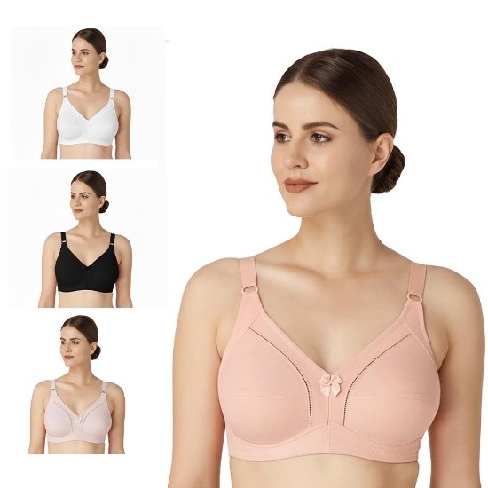 Picture of  Raj Bra C-Cup Regular Non-Padded Non-Wired (219) 