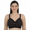 Picture of Bra Regular Soft Padded Non-Wired (239)