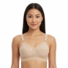 Picture of Raj Fashion Bra Padded Cotton (610)