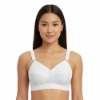 Picture of Raj Fashion Bra Padded Cotton (610)