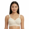 Picture of Raj Fashion Bra Padded Cotton (610)