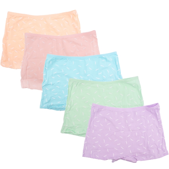 Picture of Women's Boxer Underwear Free Size Set of 5pcs(Style34) 