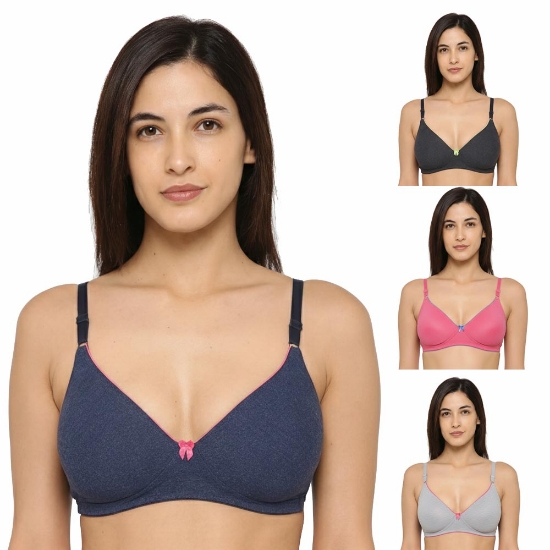 Picture of Raj Fashion Bra Regular Non-Padded Non-Wired (IND505)