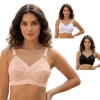 Picture of Raj Fashion Italy Bra (6886)