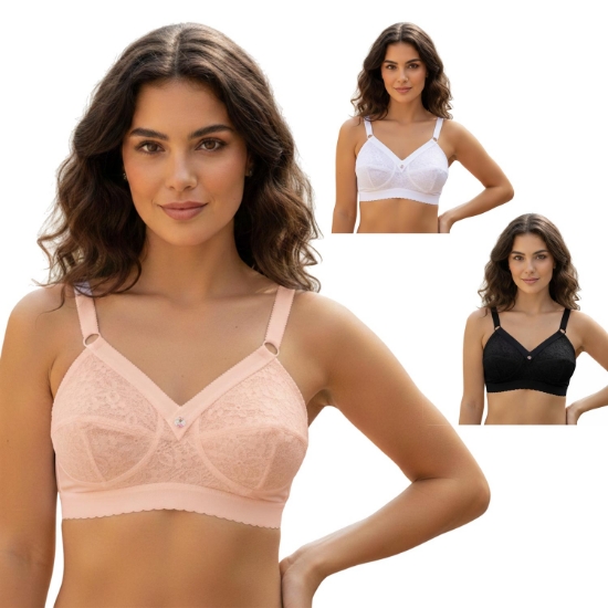 Picture of Raj Fashion Italy Bra (6886)