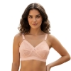 Picture of Raj Fashion Italy Bra (6886)
