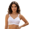 Picture of Raj Fashion Italy Bra (6886)