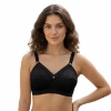 Picture of Raj Fashion Italy Bra (6886)