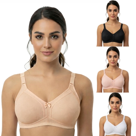 Picture of Bra Regular Non-Padded Non-Wired (216)